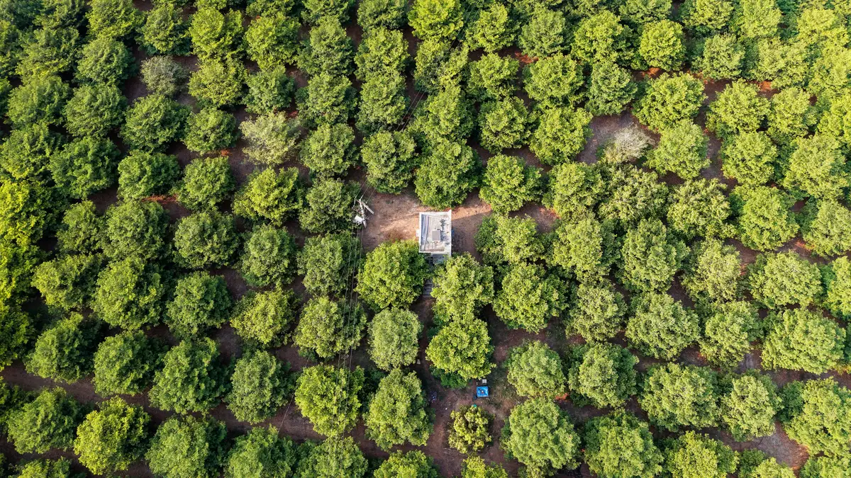 Orange Fields Ananthpur Tadipathri Road 2026